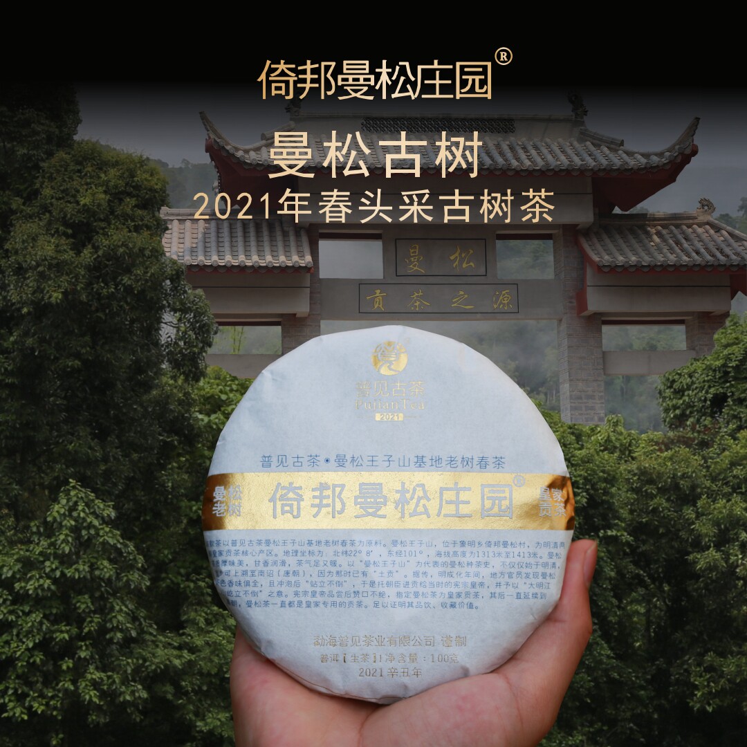 普见古茶 2021年曼松古树头春头采普洱生茶曼松庄园明清皇家贡茶