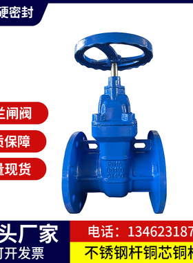 Z41T/Z45T球铁硬密封防护闸阀明杆暗杆铜芯铜杆不锈钢杆法兰闸阀