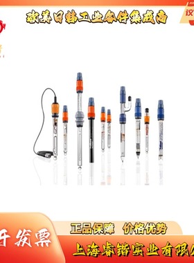 1051746  RHES-Pt-SESLg100 ProMinent  氧化还原电位传感器