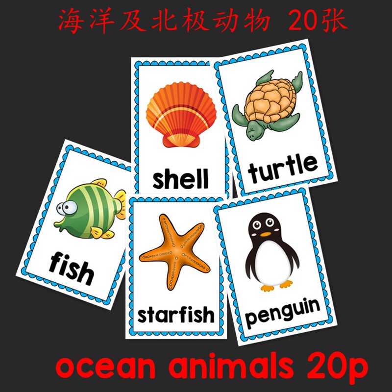 英语单词闪卡片 海洋动物ocean animals认知卡早教 英语教师教具