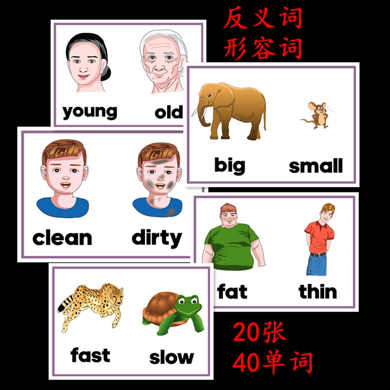 英语单词大卡片早教幼儿园