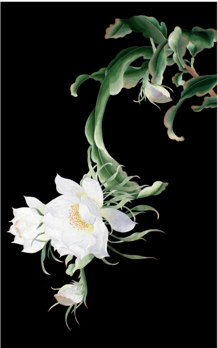 苏绣diy初学入门针迹扫描套件 昙花 手工刺绣自学材料包【包邮】