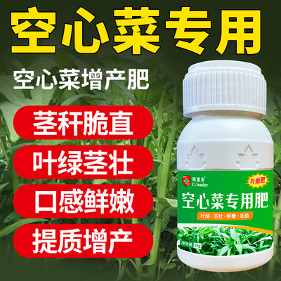空心菜专用叶面肥绿叶壮苗生根叶直硬杆增绿增产增收高产农用肥料