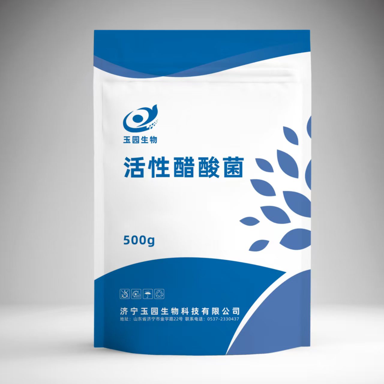 活性玉园发酵制曲醋酸菌