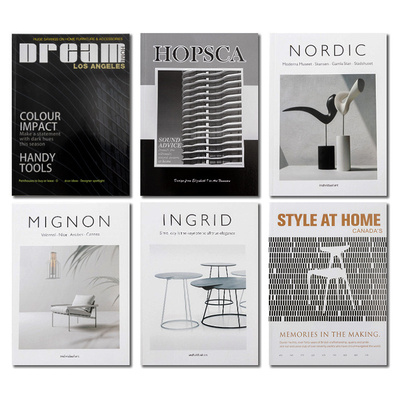 设计师款软装彩图仿真书装饰摆件