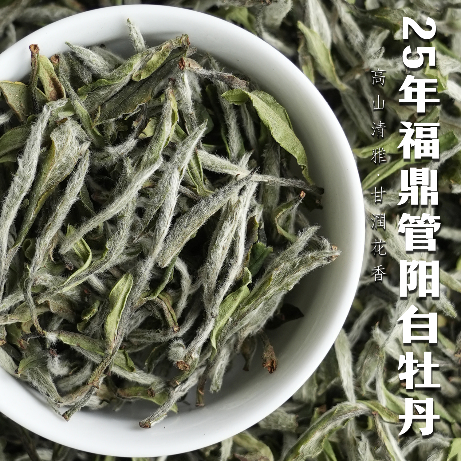 2025福鼎管阳一级白牡丹