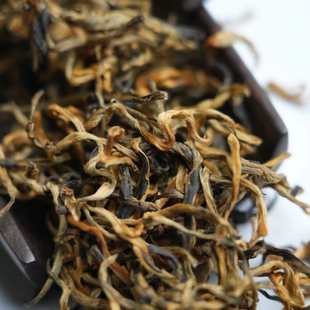 【溪亭茶记】2025云南滇红茶滇红毛峰古树红茶茶汤甜润蜜香花香型