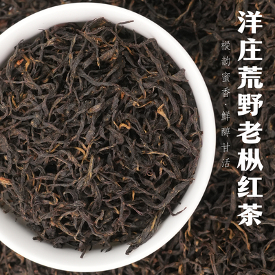 2025武夷红茶洋庄乡荒野老枞红茶