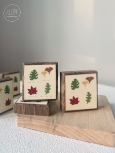 心素Soap手工皂挤皂器配件模板 挤皂板D 枫叶 树叶 金鱼