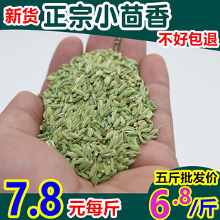今年新货产新小茴香籽手选精选茴子500g250克包邮调香料卤料