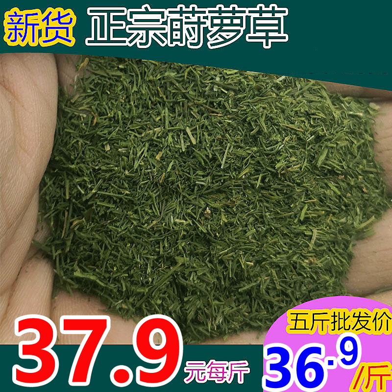 新货纯真莳萝草500克250g包邮Dill土茴香西餐另罗勒披撒草百里香