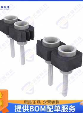 SL-131-TT-11 连接器CONN RCPT 31POS 0.1 TIN PCB