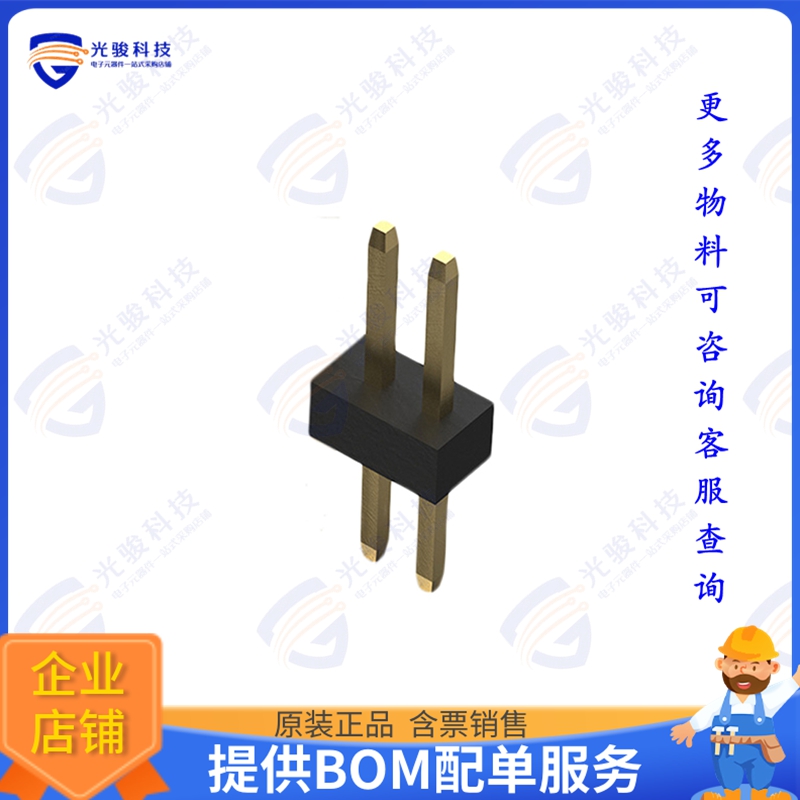 BC020-02-A-0200-0300-L-G 连接器2POS 1.0MM PITCH PIN HEADER,