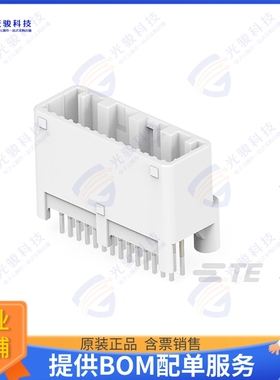 1565375-4 连接器025 28POS CAP ASSY V TIN