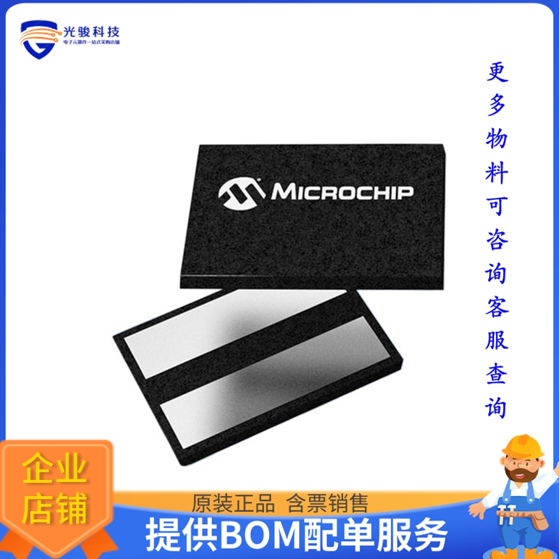 AT21CS11-MSH10-T《存储器芯片IC EEPROM 1KBIT I2C 125KHZ 2XSFN