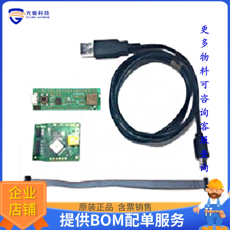 EC2810AA2-EVK【EVALUATION KIT (BOARD+DEBUGGER)】射频评估板