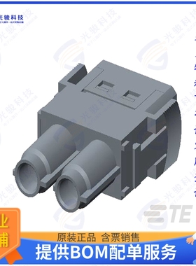 T2111020201-000连接器 MODULE FEMALE 2POS HMN-002-FC