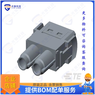 T2111020201-000连接器 MODULE FEMALE 2POS HMN-002-FC