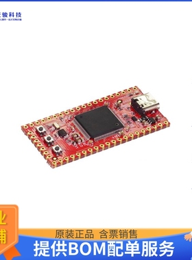 SCC-FSTK-B【SITCORE FEZ STICK SBC】嵌入式MCU、DSP评估板