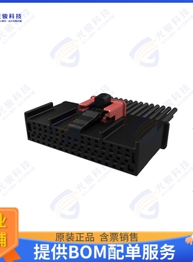 10159549-130KBLF 连接器WIRELOCK 30PIN B REC-10159549-13