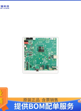 20.1313.0152【IESY RPX30 OSM-SF FITTED ON EVAL】嵌入式MCU、D