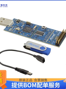 AT97SC3205P-SDK2【DEMO KIT FOR 97SC3204】评估和演示板套件
