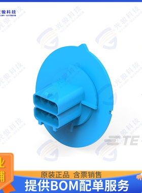 1-2381608-6 连接器POWER VERSA-LOCK TNL CAP, 2X3 KE