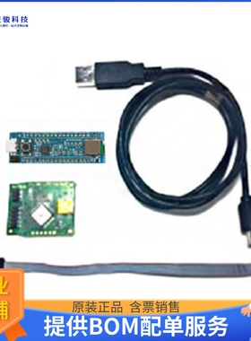 EC2832AA2-EVK【EVALUATION KIT (BOARD+DEBUGGER)】射频评估板