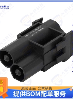 C146 A02 001 E8连接器 MODULE MALE 2POS CRIMP
