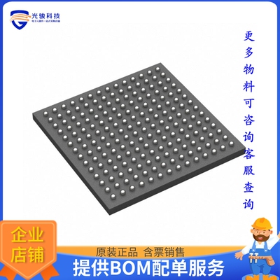 PM5319-NGI《接口芯片IC TELECOM INTERFACE 196CABGA》