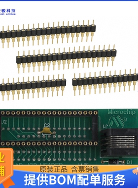 AC162051【HEADER INTRFC ICD,ICD2 28/40 DIP】开发板、编程器