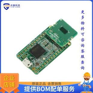 DEMOBGT60LTR11AIPTOBO1[EVAL BOARD FOR BGT60LTR11AIP]评估板