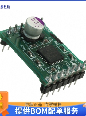AM306228R1DBGEVB【BOARD DAUGHTER I2C STEP DVR NQFP】评估和