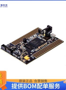 FXZ001A-FT【Styx Zynq 7020 FPGA Module-FT】FPGA、CPLD评估板