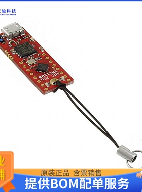 KITXMC2GOXMC1100V1TOBO1【XMC 2GO XMC1100 EVAL BRD】嵌入式MCU