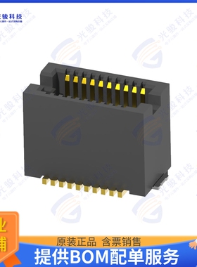 10132797-027100LF 连接器CONN PLUG 20POS SMD GOLD