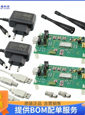 RC1701HP-WIZE-DK【WIRELESS MBUS DEVELOPMENT KIT】射频评估板