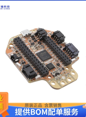 4300【HALLOWING M4 EXPRESS】嵌入式MCU、DSP评估板