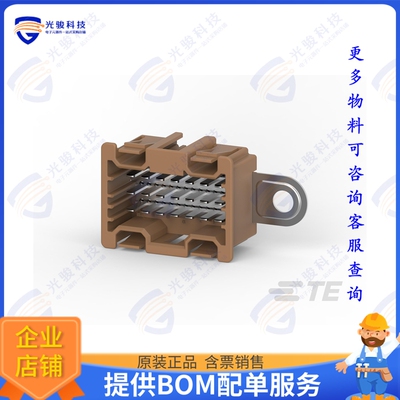 1534188-1 连接器21 POS TAB HSG ASSY