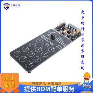 BOOSTXL-CAPKEYPAD[CAP TOUCH CAPTIVATE BOOSTERPACK]评估板