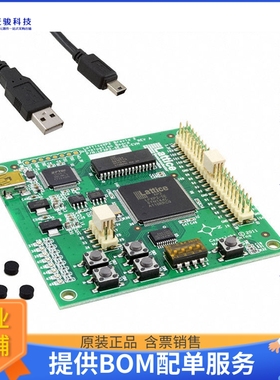 LFXP2-5E-B2-EVN【KIT DEV LATTICE XP2 BREVIA2】FPGA、CPLD评
