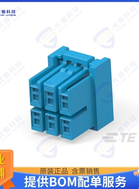2420266-6 连接器SOCKET HSG 2X3P BLUE HCI 4.0 PIT