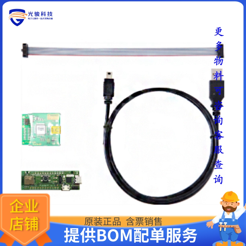 EC2820AA2-EVK【EVALUATION KIT (BOARD+DEBUGGER)】射频评估板