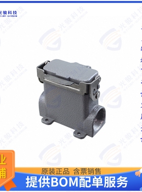 T1629101121-000连接器 H10A-SDRMS-PG21