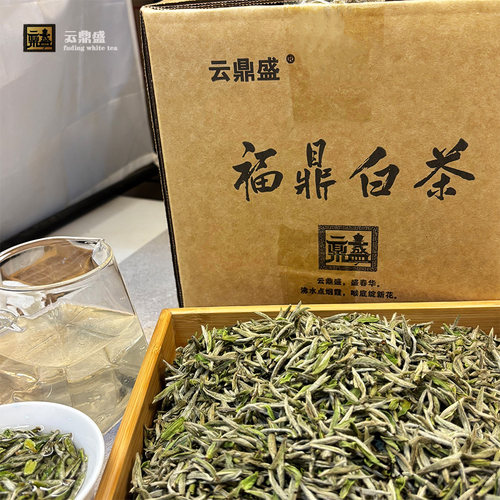 2026年福鼎点头银针500g