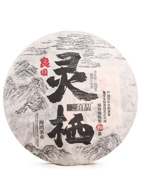 老同志云南2020年普洱茶
