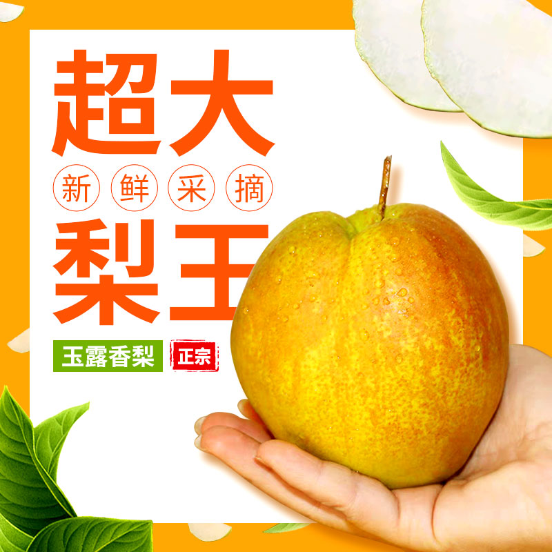 （隰县发货）山西隰县正宗玉露香梨小西天新鲜水果礼盒整箱包邮