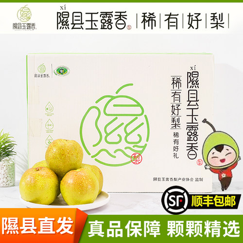 山西隰县玉露香梨特级大果