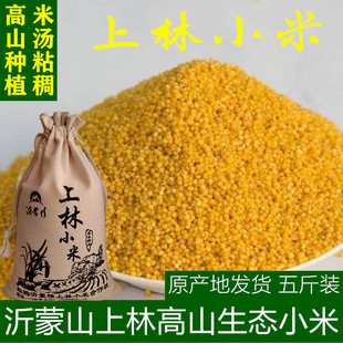 上林小米临朐上林小米月子米2025年新米山区小米专用送礼