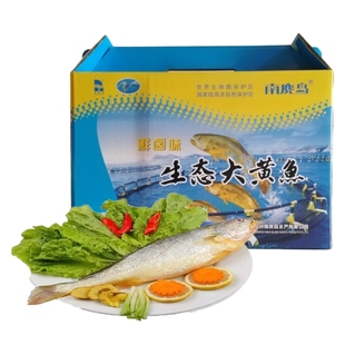 浙江温州特产美食南麂岛黄鱼半干海鲜食品水产260克6条礼盒装 脱脂